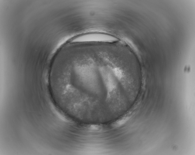 X0000090440060200708102036