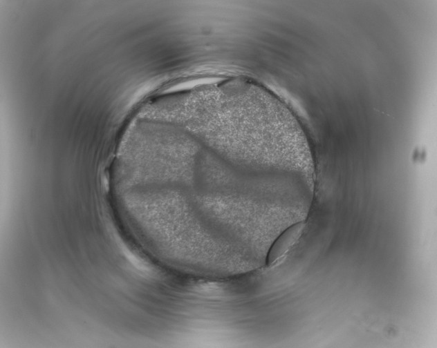 X0000090440062200708102036