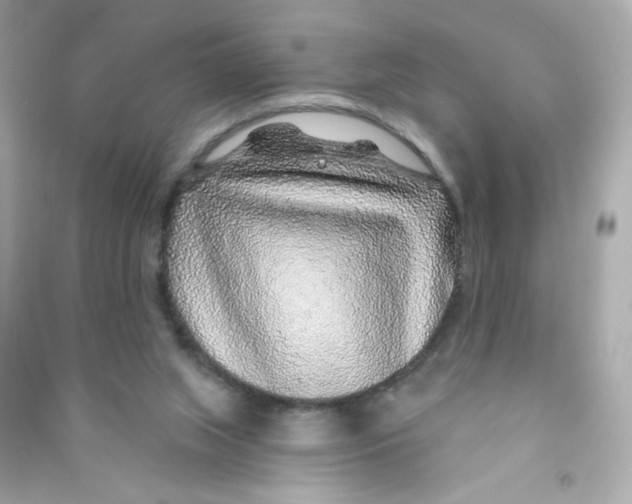 X0000090440063200708102036