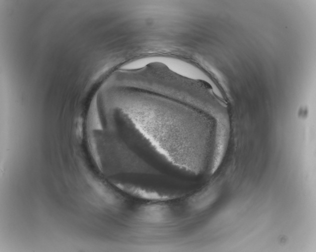 X0000090440067200708102036
