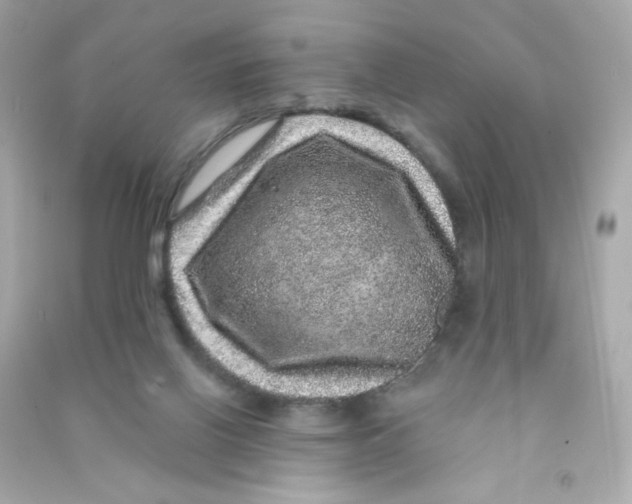 X0000090440070200708102036
