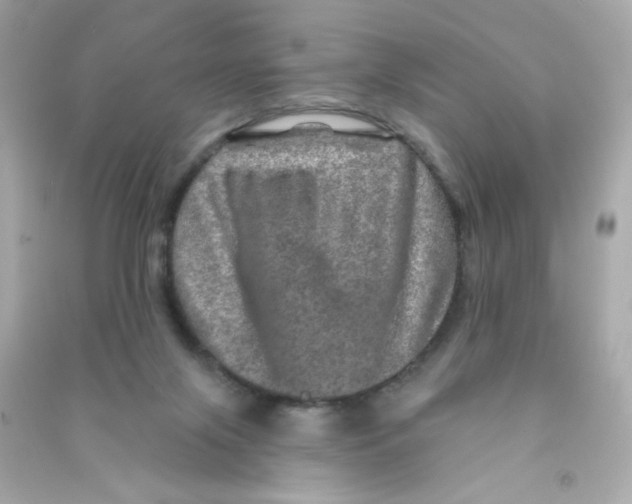 X0000090440071200708102036