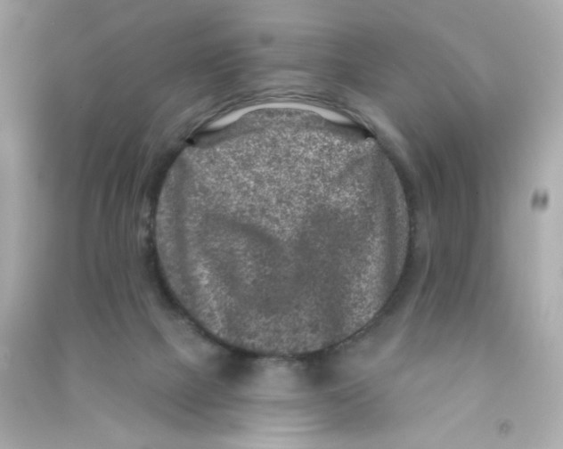 X0000090440073200708102036
