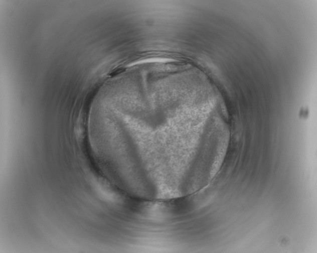 X0000090440074200708102036