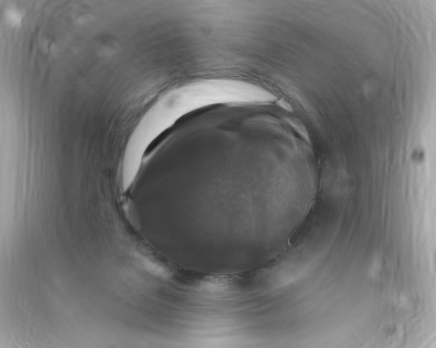 X0000090440076200708102036