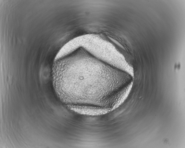 X0000090440081200708102036