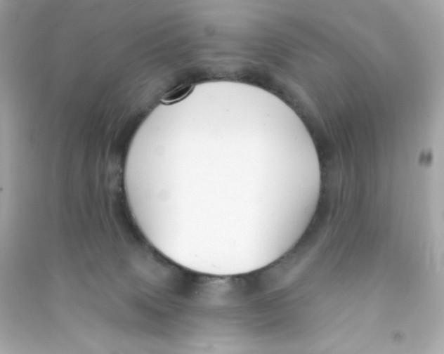 X0000090440083200708102036