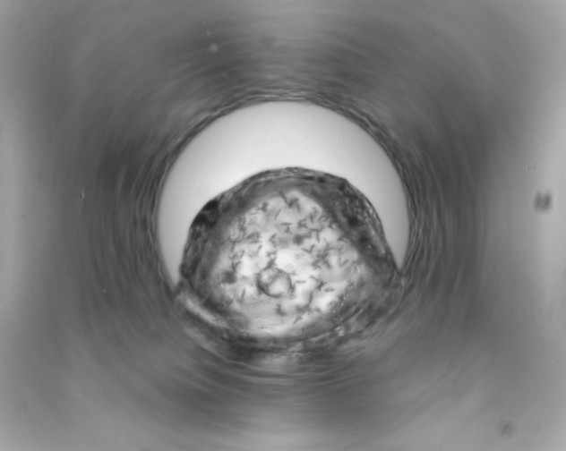 X0000090440084200708102036