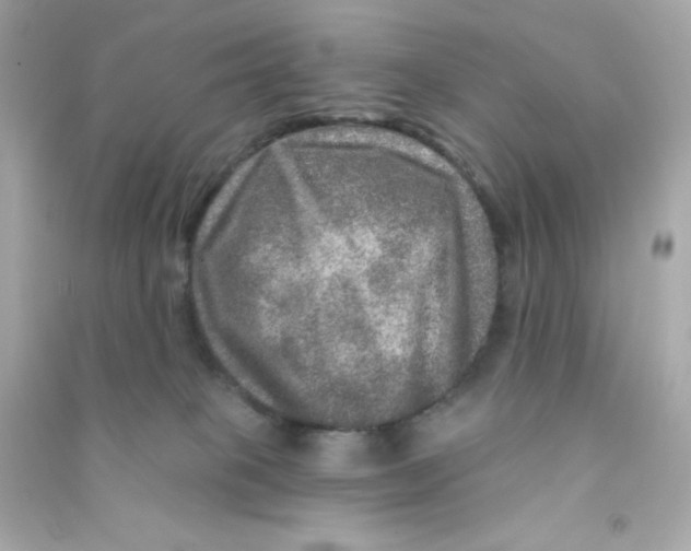 X0000090440085200708102036