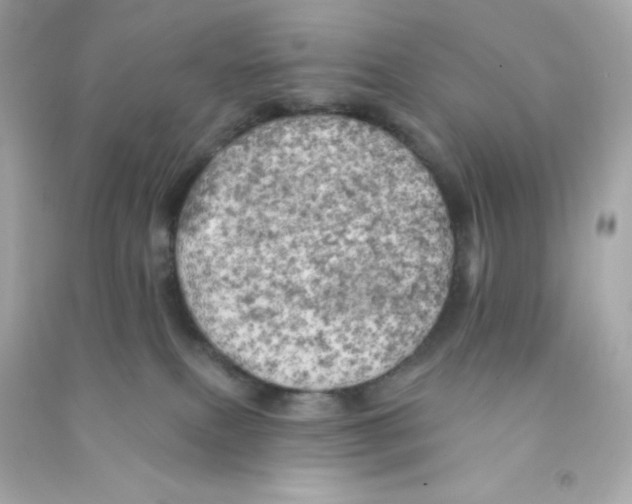 X0000090440087200708102036
