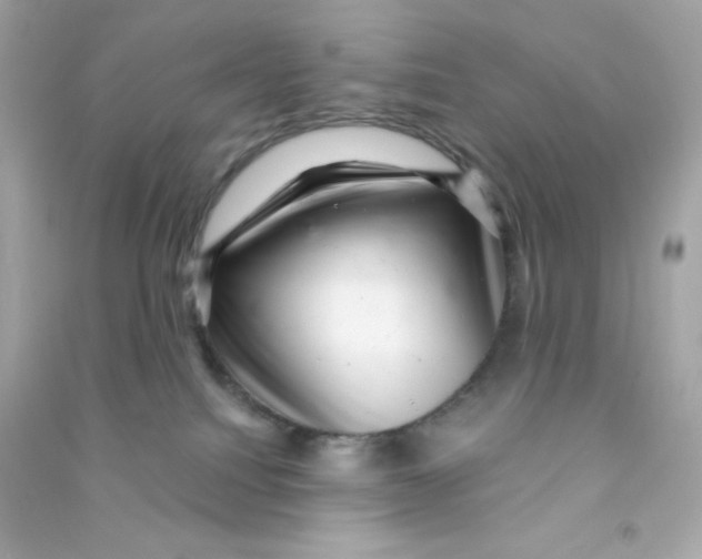 X0000090440088200708102036