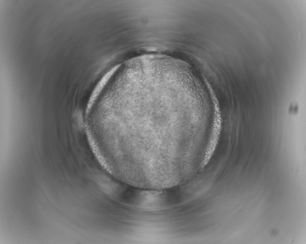 X0000090440089200708102036
