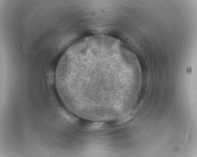X0000090440090200708102036