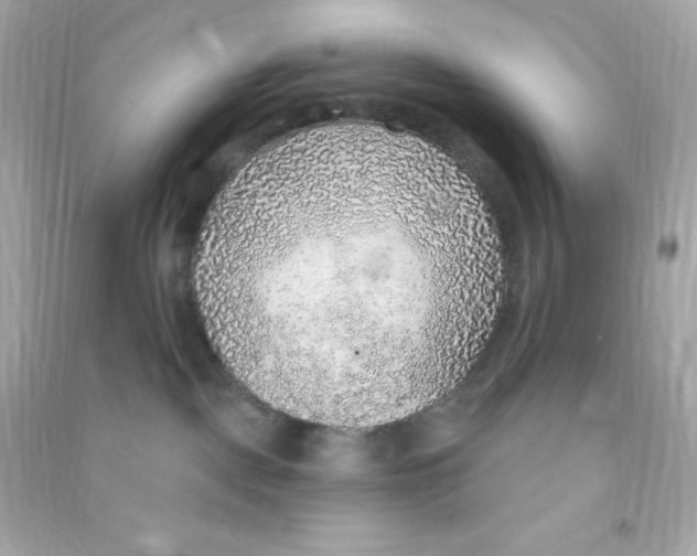 X0000090440093200708102037