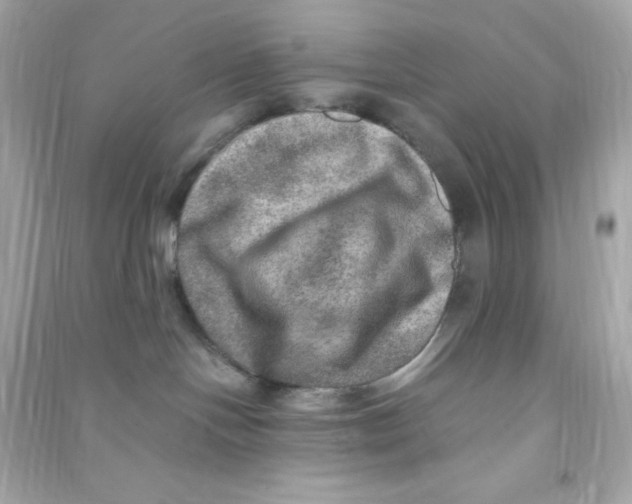 X0000090440094200708102037