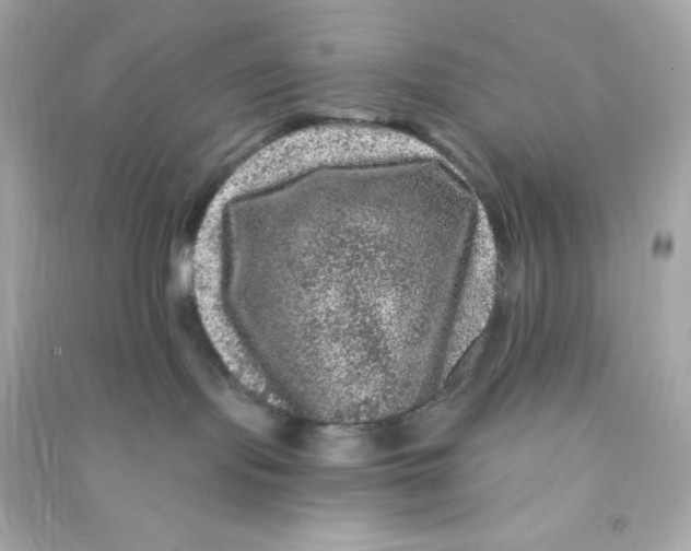 X0000090440095200708102037
