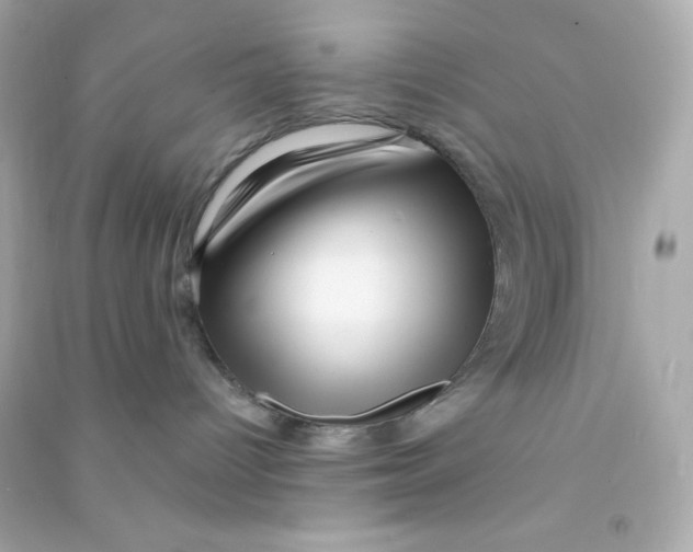 X0000090440096200708102037