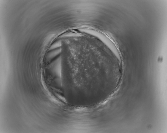 X0000090440097200708102036