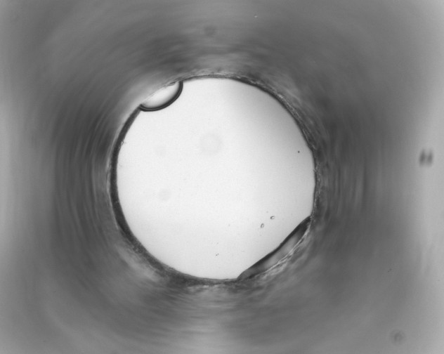 X0000090440100200708102036