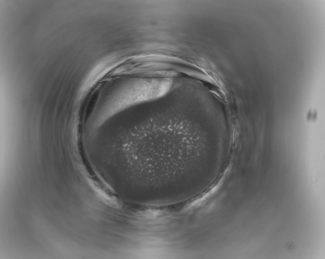 X0000090440101200708102036