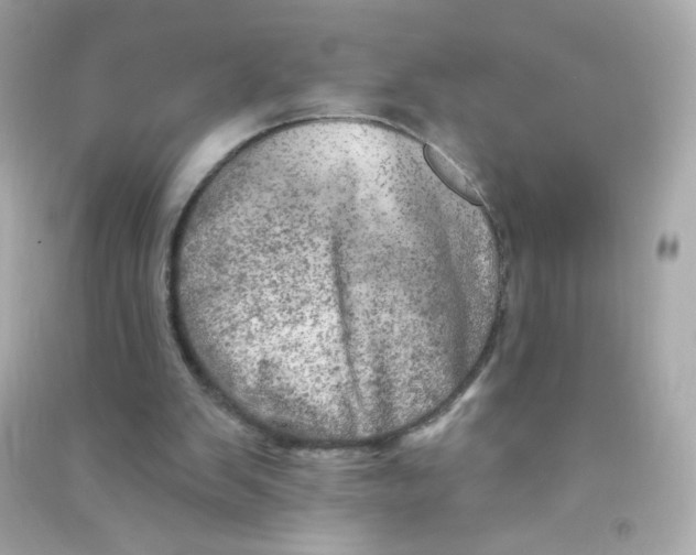 X0000090440103200708102036