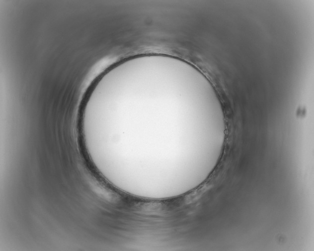 X0000090440104200708102036