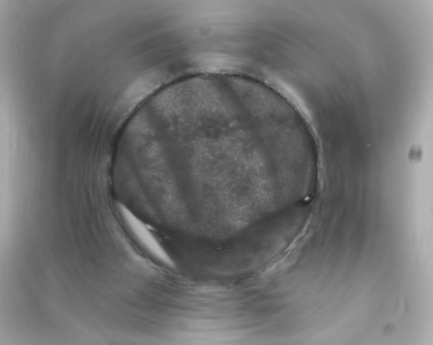 X0000090440105200708102036