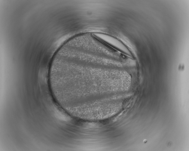 X0000090440107200708102036