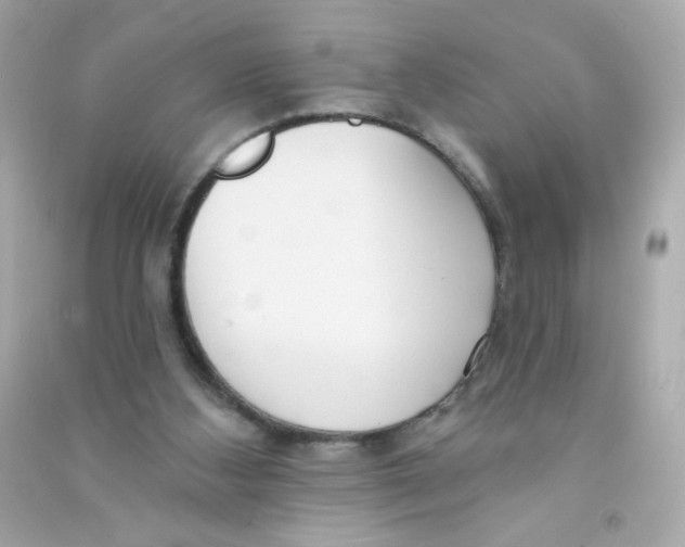 X0000090440108200708102036