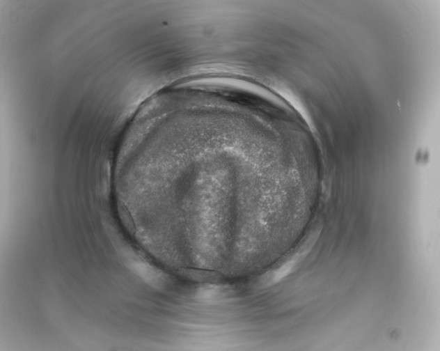 X0000090440109200708102036