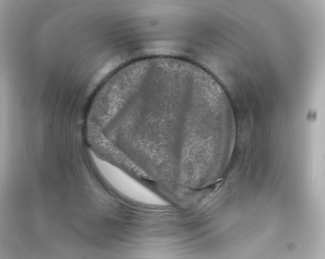 X0000090440111200708102036