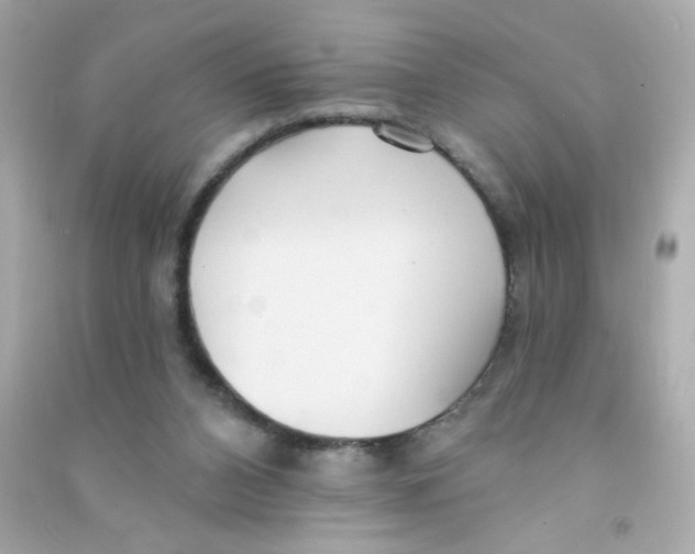 X0000090440112200708102036