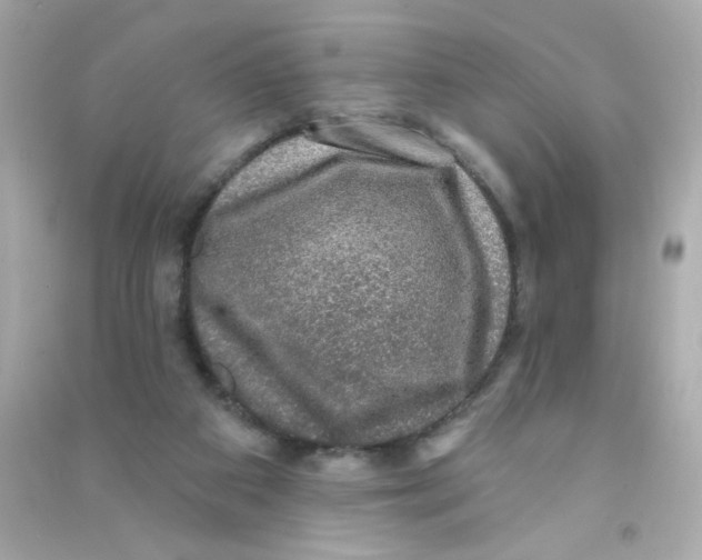 X0000090440113200708102036