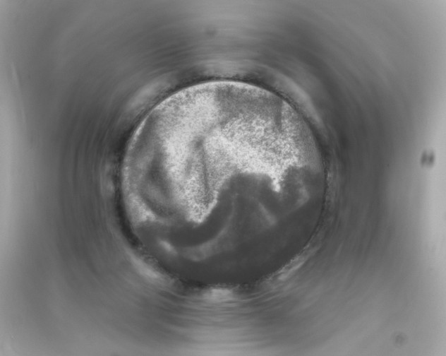 X0000090440114200708102036