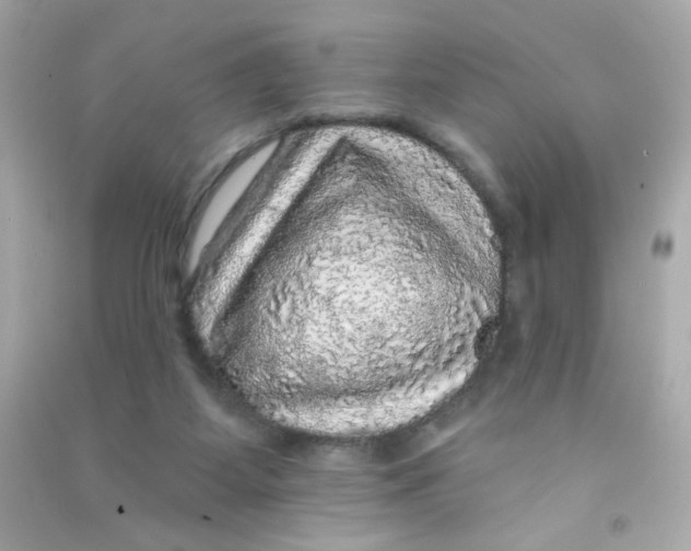 X0000090440115200708102036