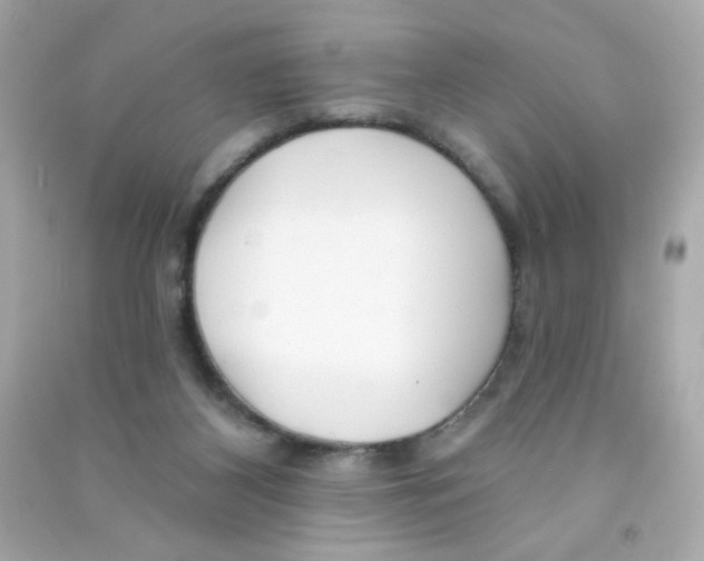 X0000090440116200708102036