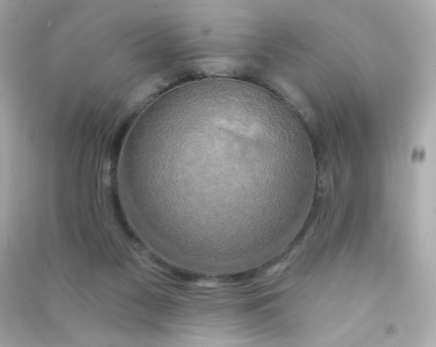 X0000090440117200708102036
