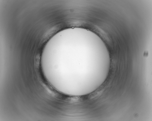X0000090440118200708102036