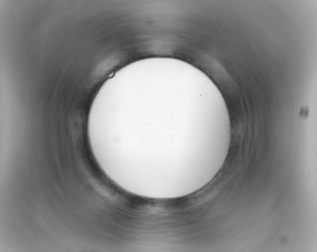X0000090440120200708102036