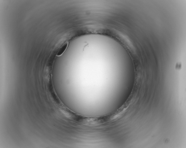 X0000090440121200708102036