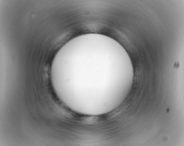 X0000090440122200708102036