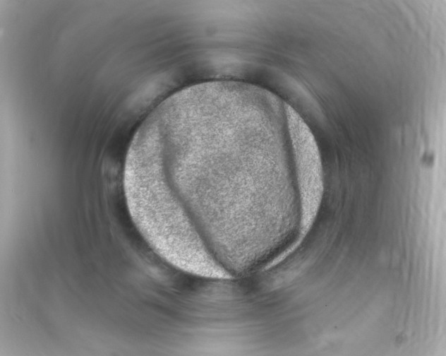 X0000090440123200708102036