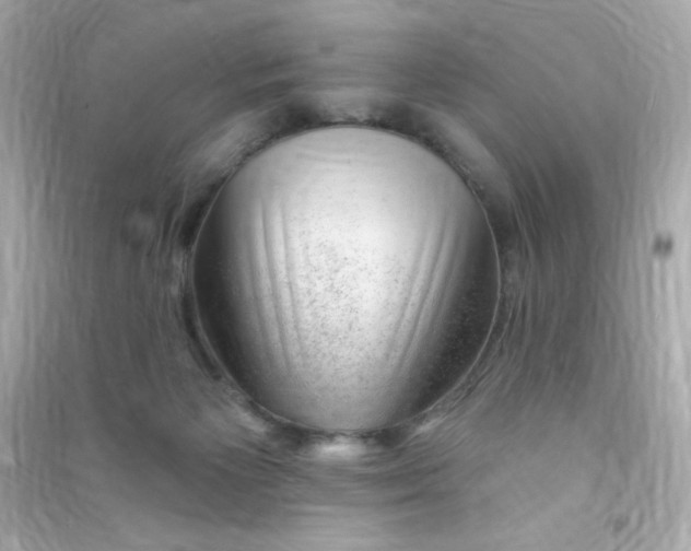 X0000090440125200708102035