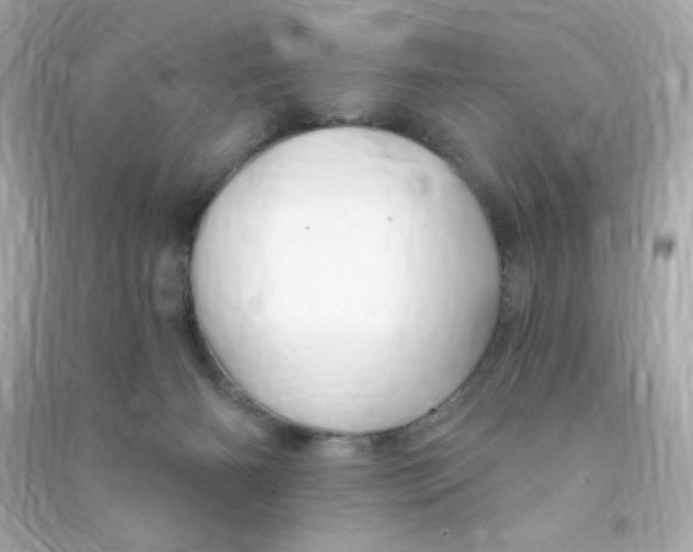 X0000090440126200708102035