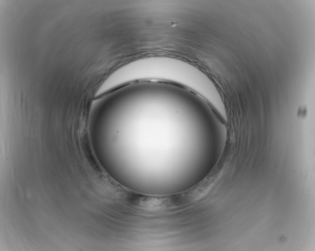 X0000090440129200708102035