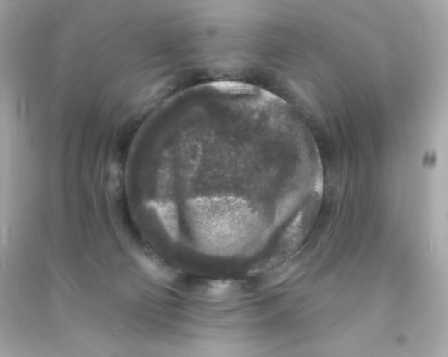 X0000090440130200708102035