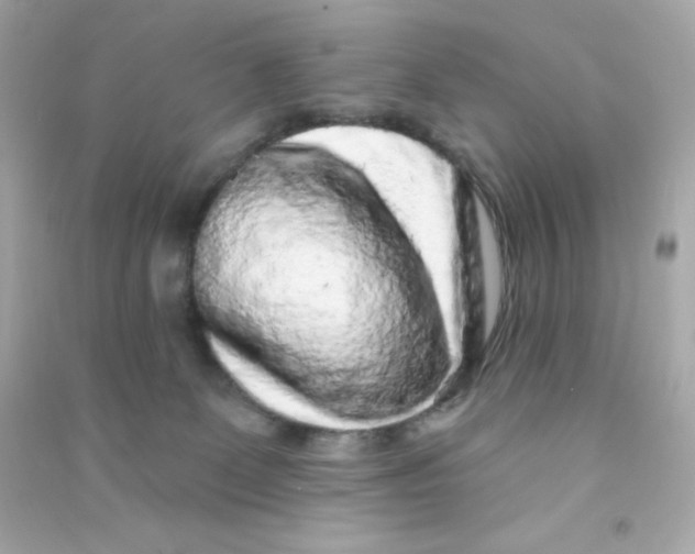X0000090440131200708102035