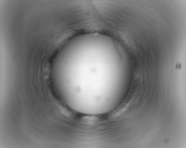 X0000090440133200708102035