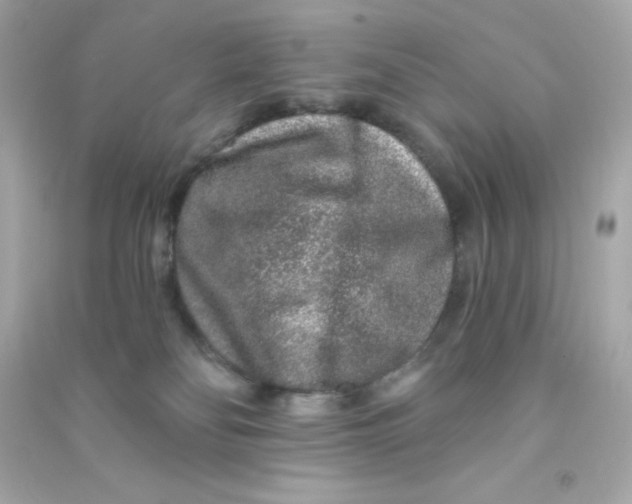 X0000090440134200708102035