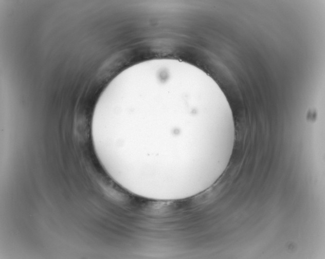 X0000090440136200708102035